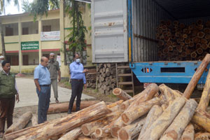 অবৈধ সেগুন কাঠসহ কাভার্ডভ্যান জব্দ