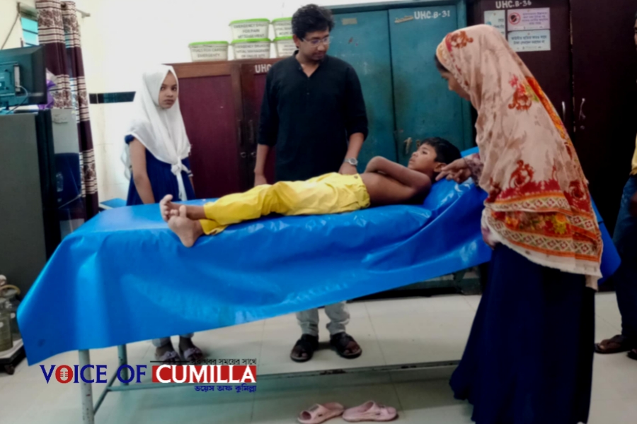 বরুড়ায় পাগলা কুকুর আতঙ্ক, কামড় খেয়ে আহত ১৫...