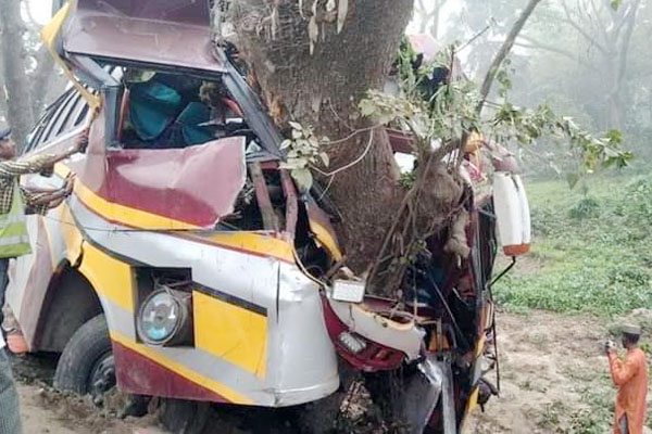 নিয়ন্ত্রণ হারিয়ে গাছে ধাক্কায় দুমড়ে-মুচড়ে গেলো বাস, আহত ১৫ যাত্রী