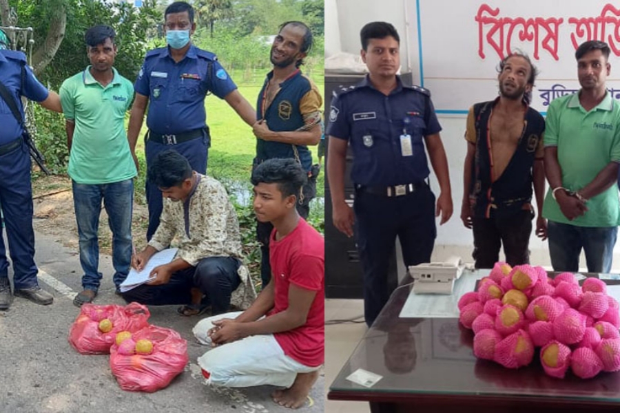 গাঁজাকে মাল্টা বানিয়ে পাচারে ২ যুবক আটক