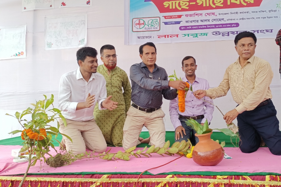 গাছে-গাছে বিয়ে, মালা বদল!