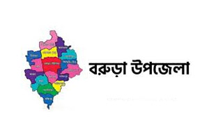 প্রবাসী স্বামীর সাথে ভিডিও কল শেষে স্ত্রীর গলায় ফাঁস