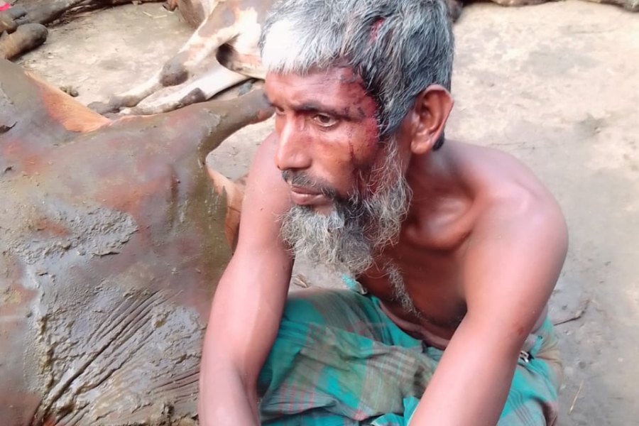 মুরাদনগরে বৈদ্যুতিক শর্টসার্কিটে ছয় গরুর মৃত্যু, খামারীর মাথায় হাত!